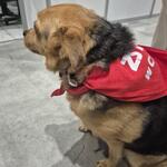 Multimedia (15)_2025-12-04_15:31:22.jpg